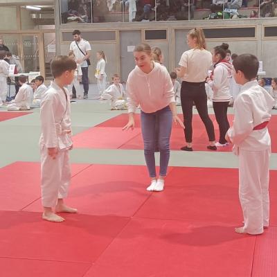 Animation judo Alby sur Chéran