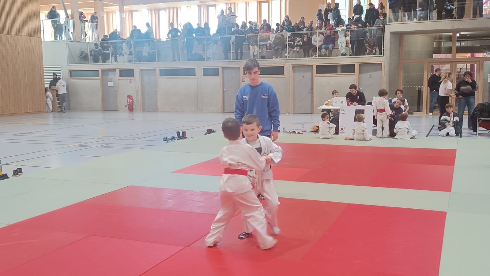 Animation judo Alby sur Chéran