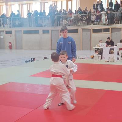 Animation judo Alby sur Chéran