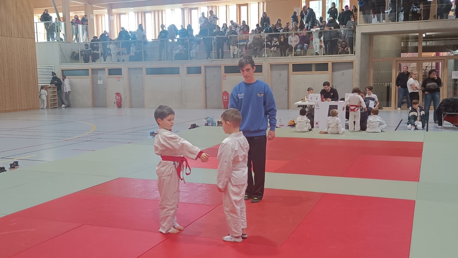 Animation judo Alby sur Chéran