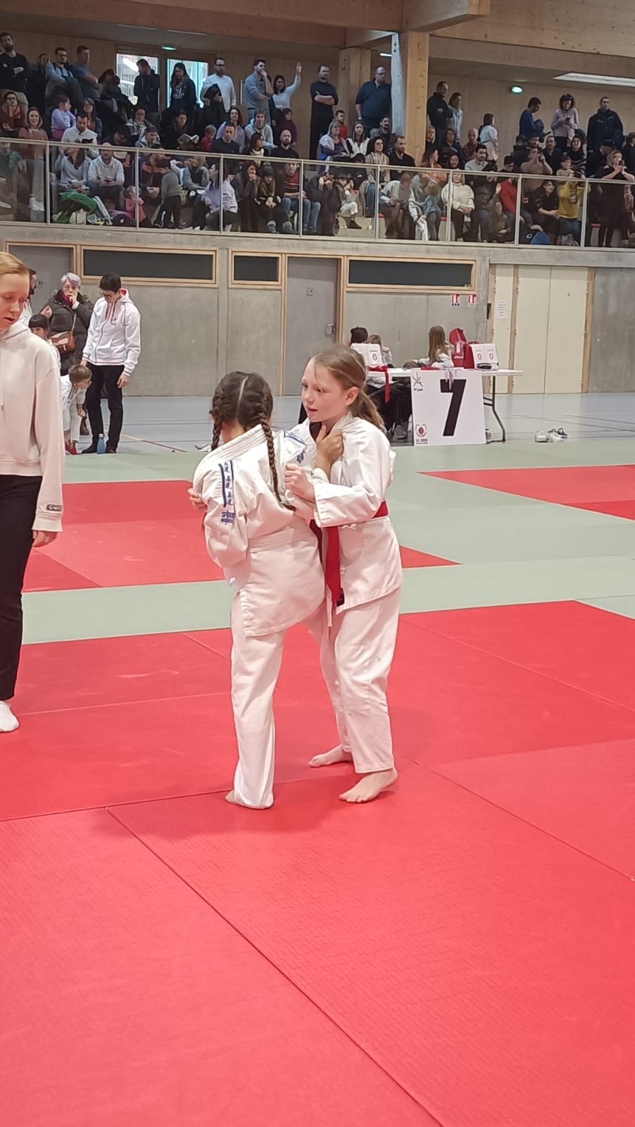 Animation judo Alby sur Chéran