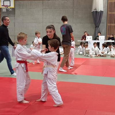 Animation judo Alby sur Chéran