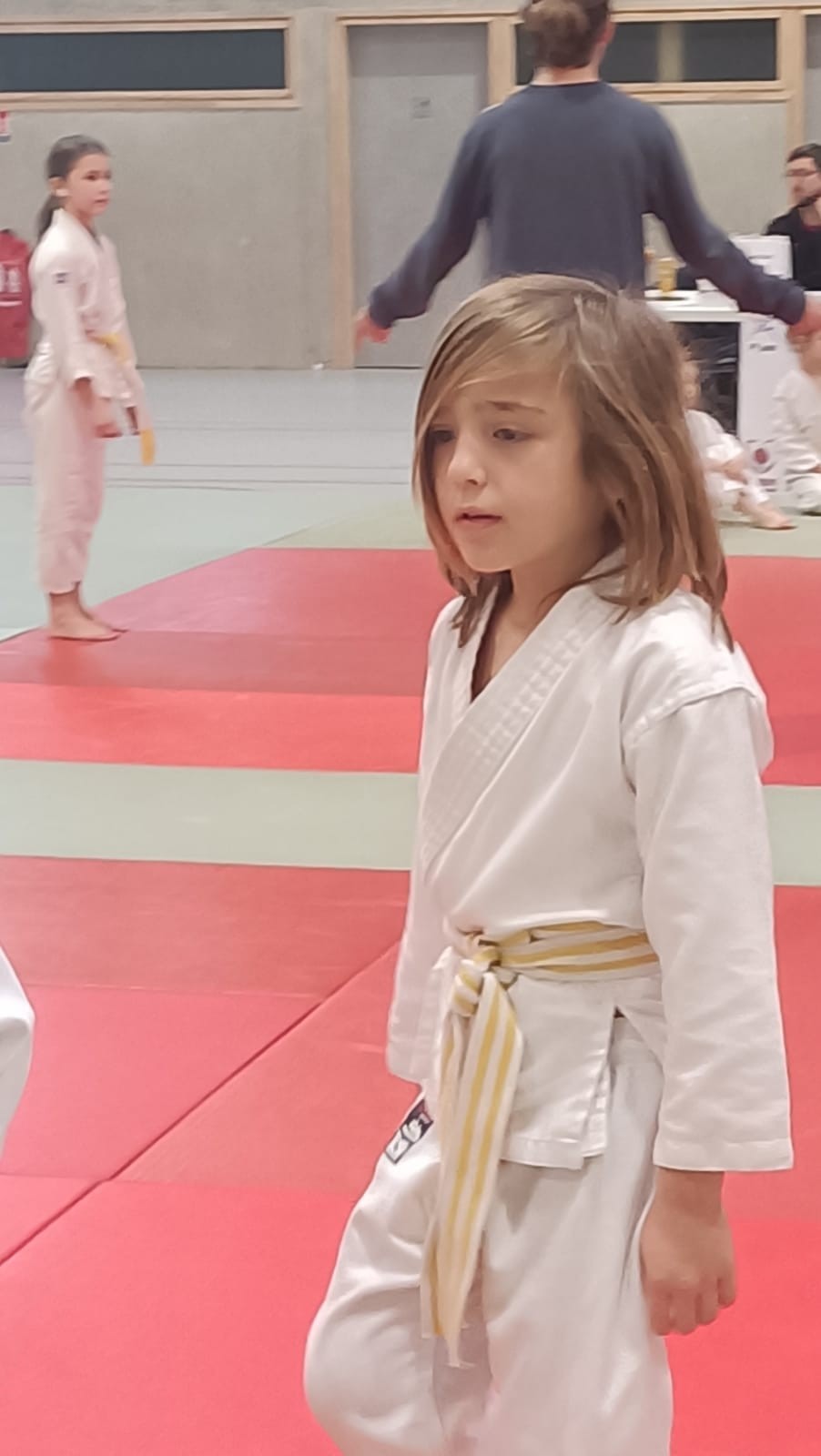 Animation judo Alby sur Chéran