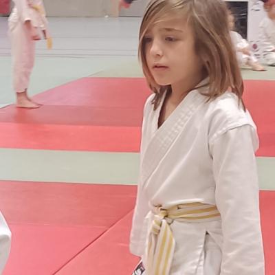 Animation judo Alby sur Chéran