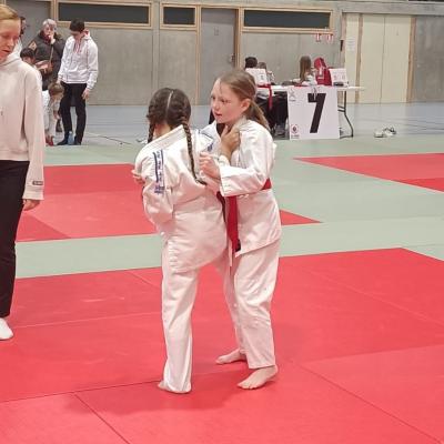 Animation judo Alby sur Chéran