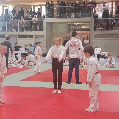 Animation judo Alby sur Chéran