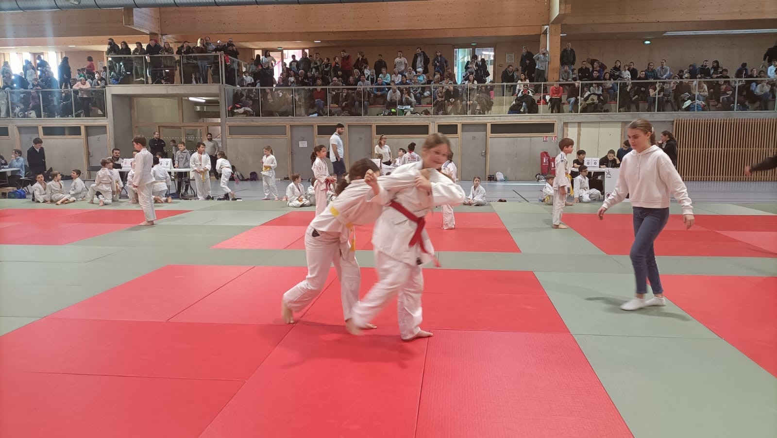 Animation judo Alby sur Chéran