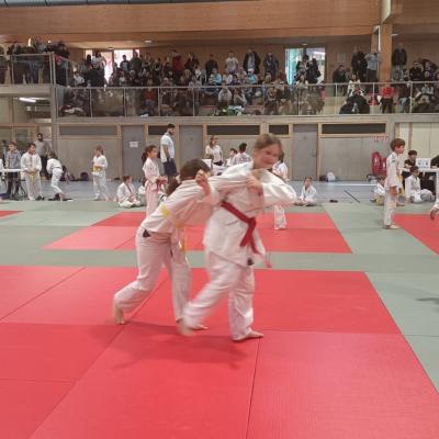 Animation judo Alby sur Chéran