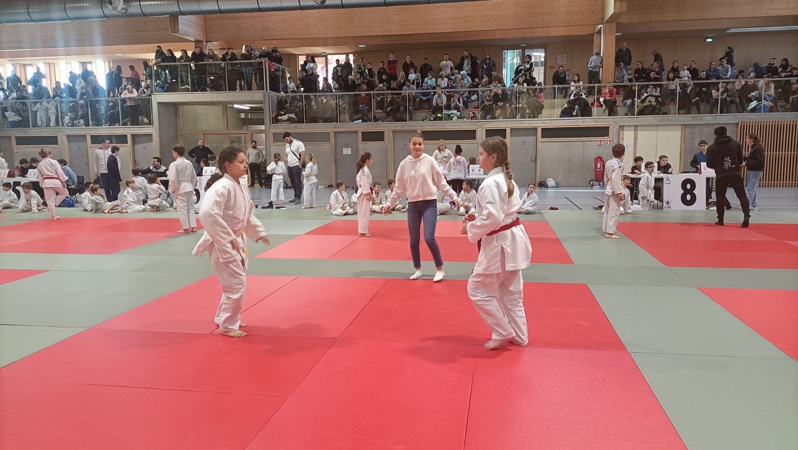 Animation judo Alby sur Chéran