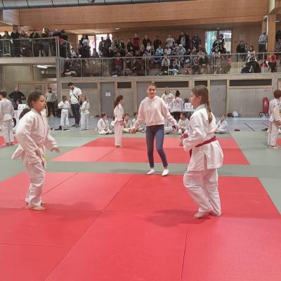 Animation judo Alby sur Chéran