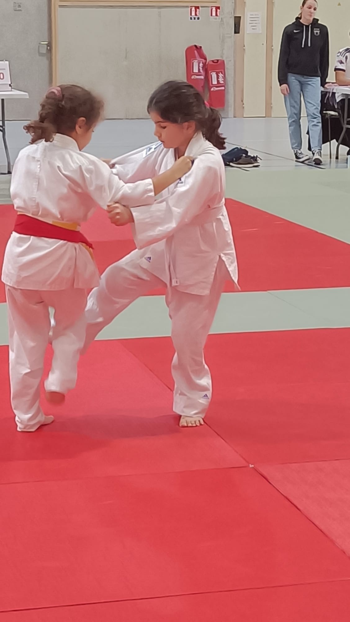 Animation judo Alby sur Chéran