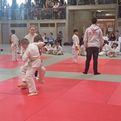 Animation judo Alby sur Chéran