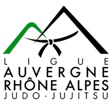 Logo ligue ara